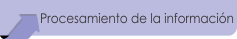 Procesamiento de la información